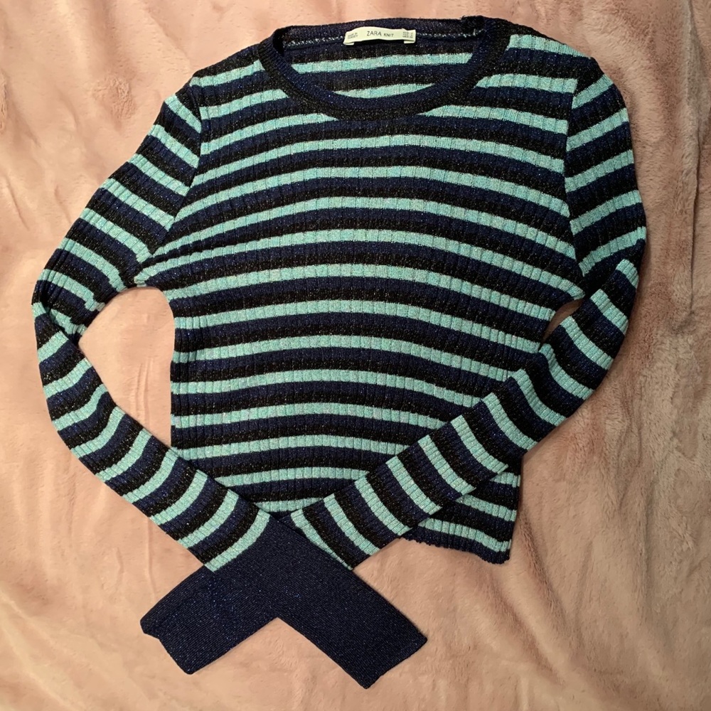 Zara crop top